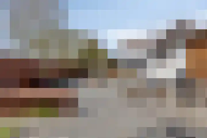 Schapengorsedijk 23 Rockanje thumbnail 26