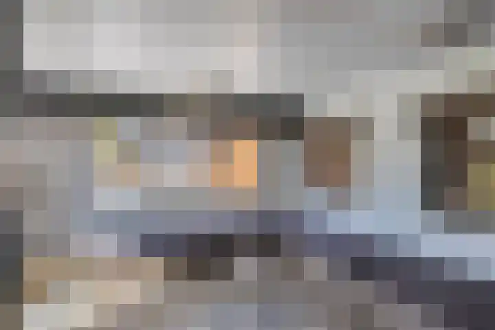 Schapengorsedijk 23 Rockanje thumbnail 29