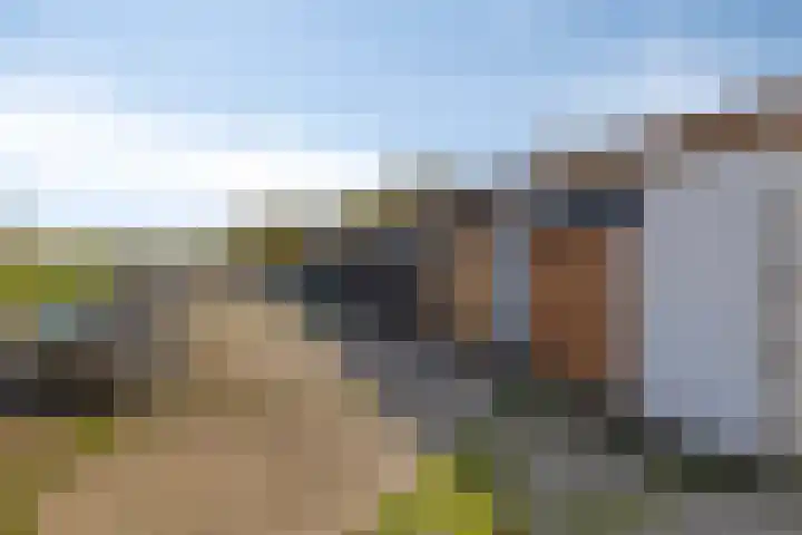 Schapengorsedijk 23 Rockanje thumbnail 33