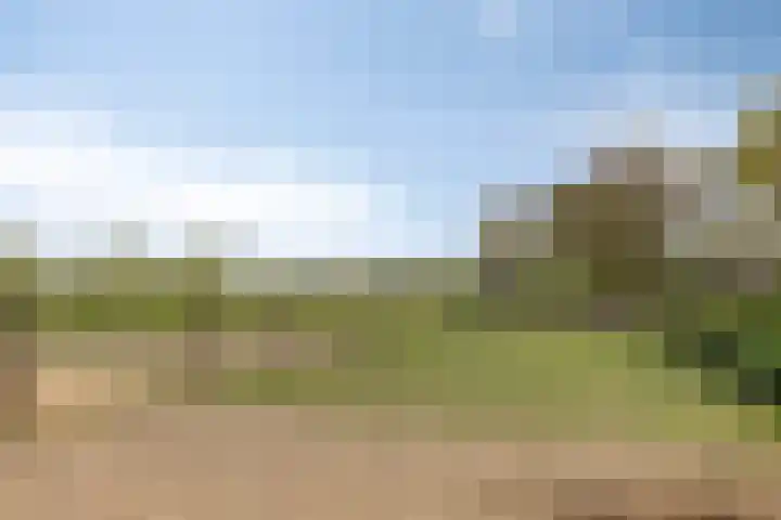 Schapengorsedijk 23 Rockanje thumbnail 37