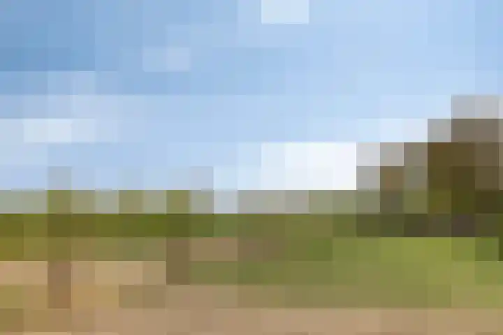 Schapengorsedijk 23 Rockanje thumbnail 38