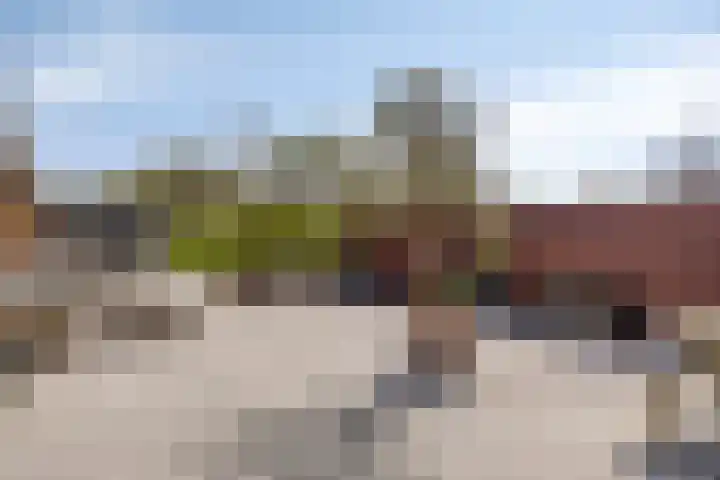 Schapengorsedijk 23 Rockanje thumbnail 4