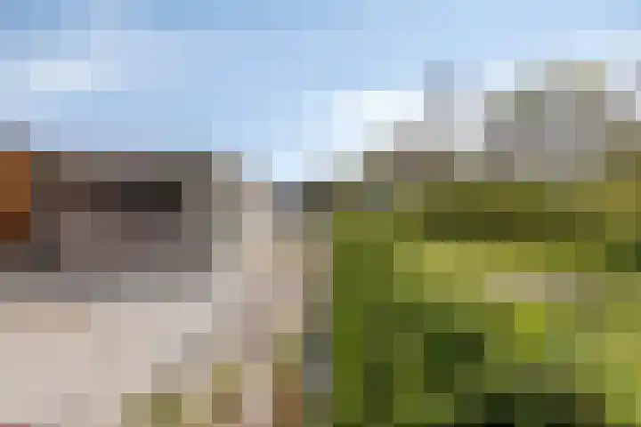 Schapengorsedijk 23 Rockanje thumbnail 5