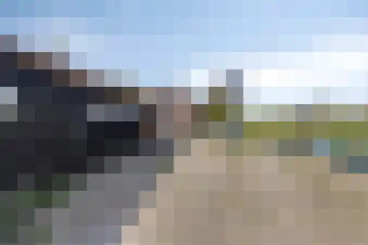 Schapengorsedijk 23 Rockanje thumbnail 6