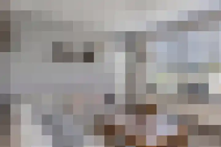 Schapengorsedijk 23 Rockanje thumbnail 8