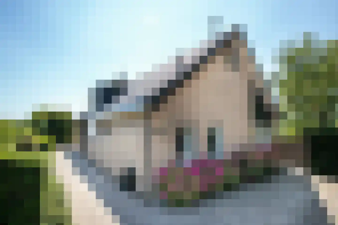 Schapengorsedijk 25 Rockanje thumbnail 10