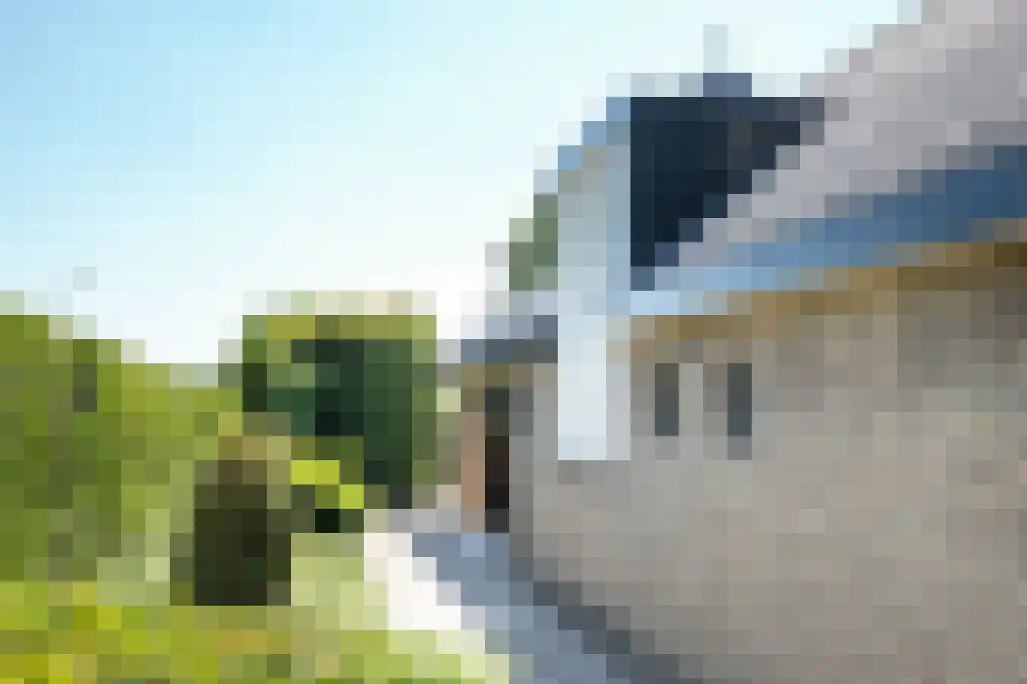 Schapengorsedijk 25 Rockanje thumbnail 12