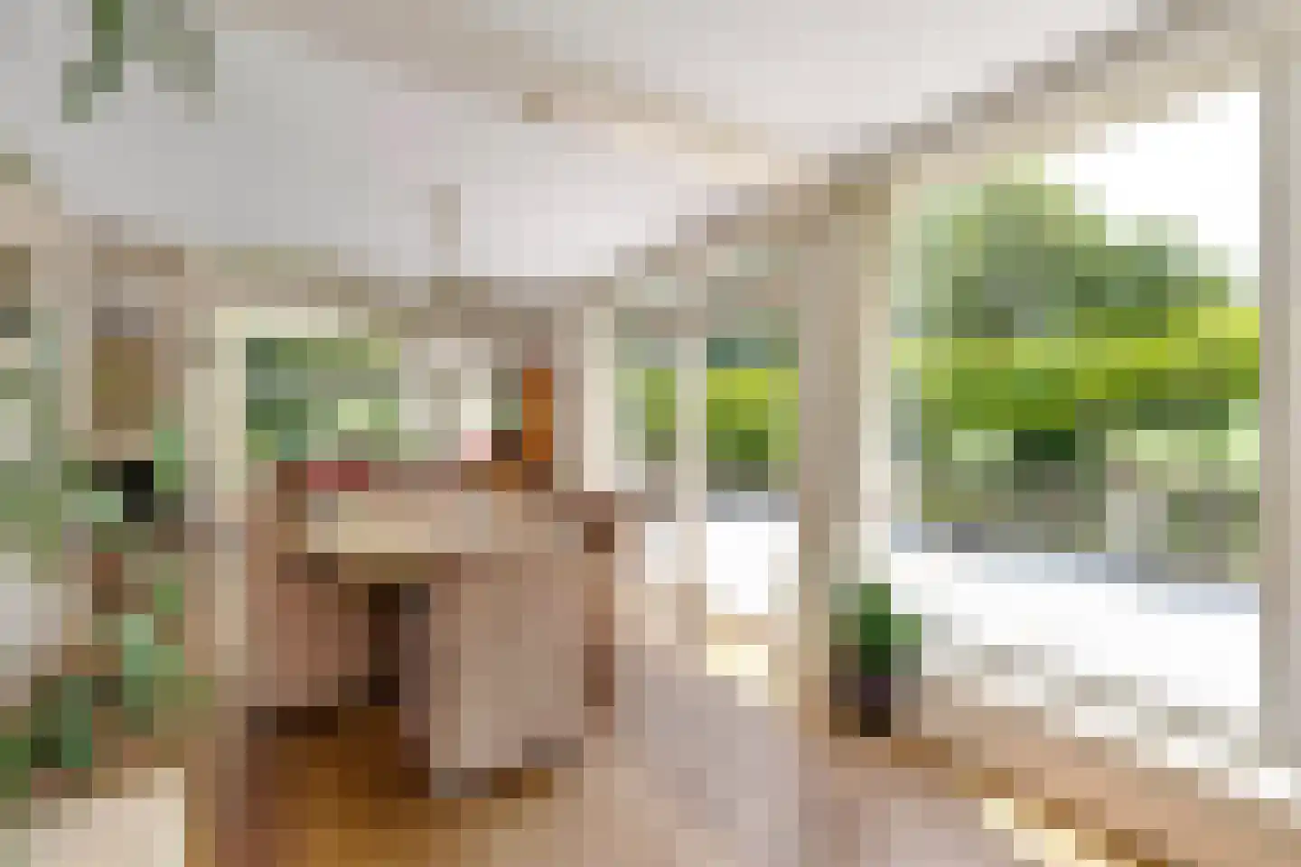 Schapengorsedijk 25 Rockanje thumbnail 26