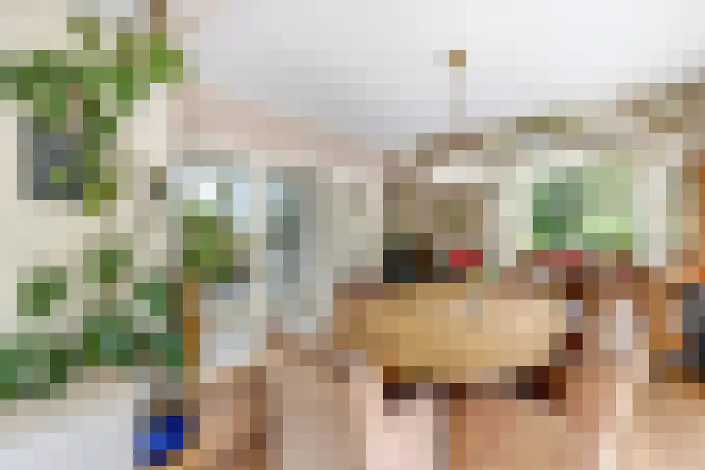 Schapengorsedijk 25 Rockanje thumbnail 27