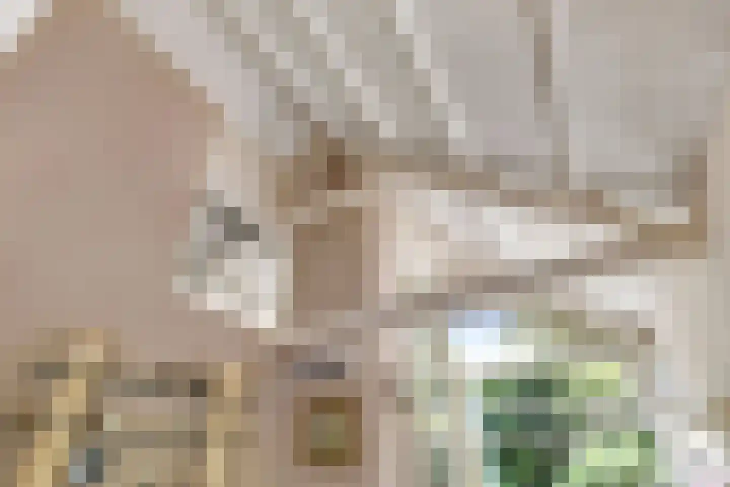 Schapengorsedijk 25 Rockanje thumbnail 29