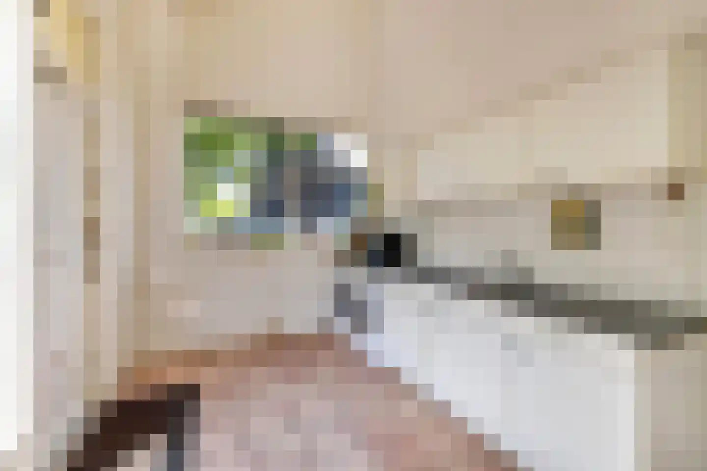 Schapengorsedijk 25 Rockanje thumbnail 37