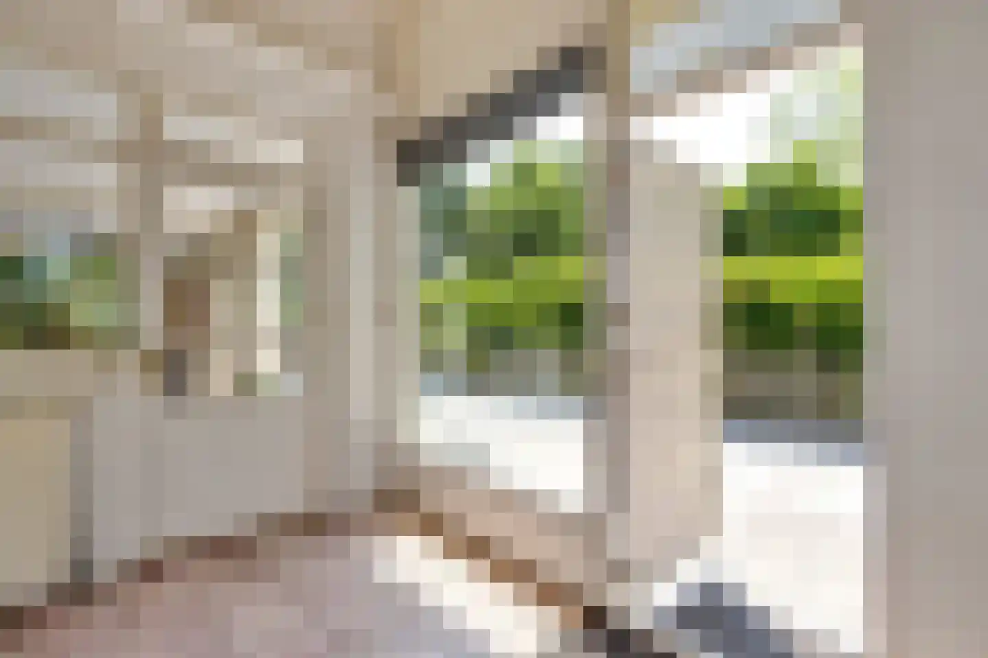 Schapengorsedijk 25 Rockanje thumbnail 39