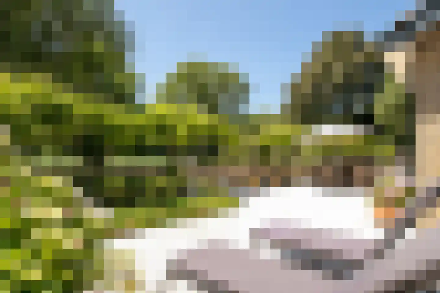 Schapengorsedijk 25 Rockanje thumbnail 4