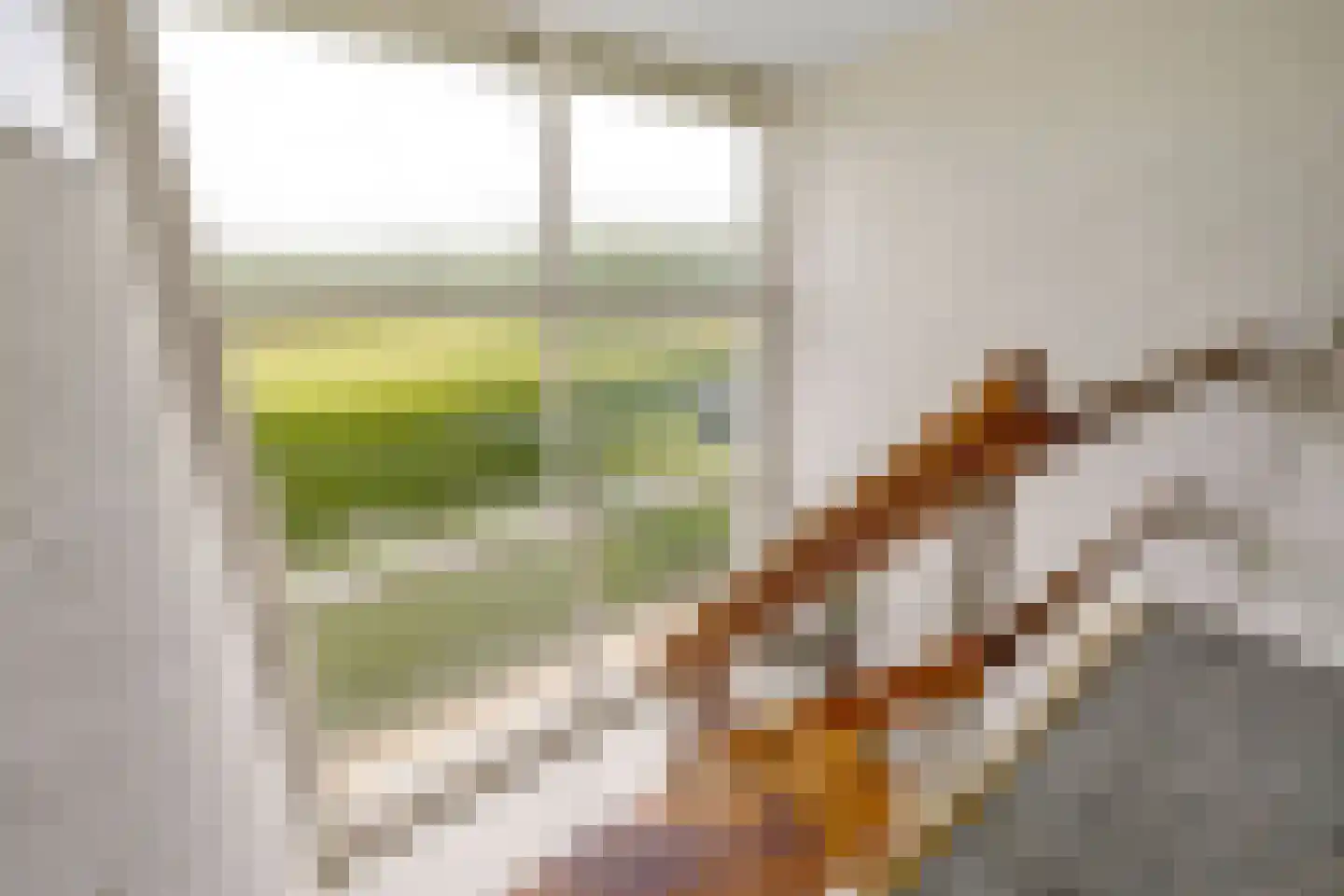 Schapengorsedijk 25 Rockanje thumbnail 40