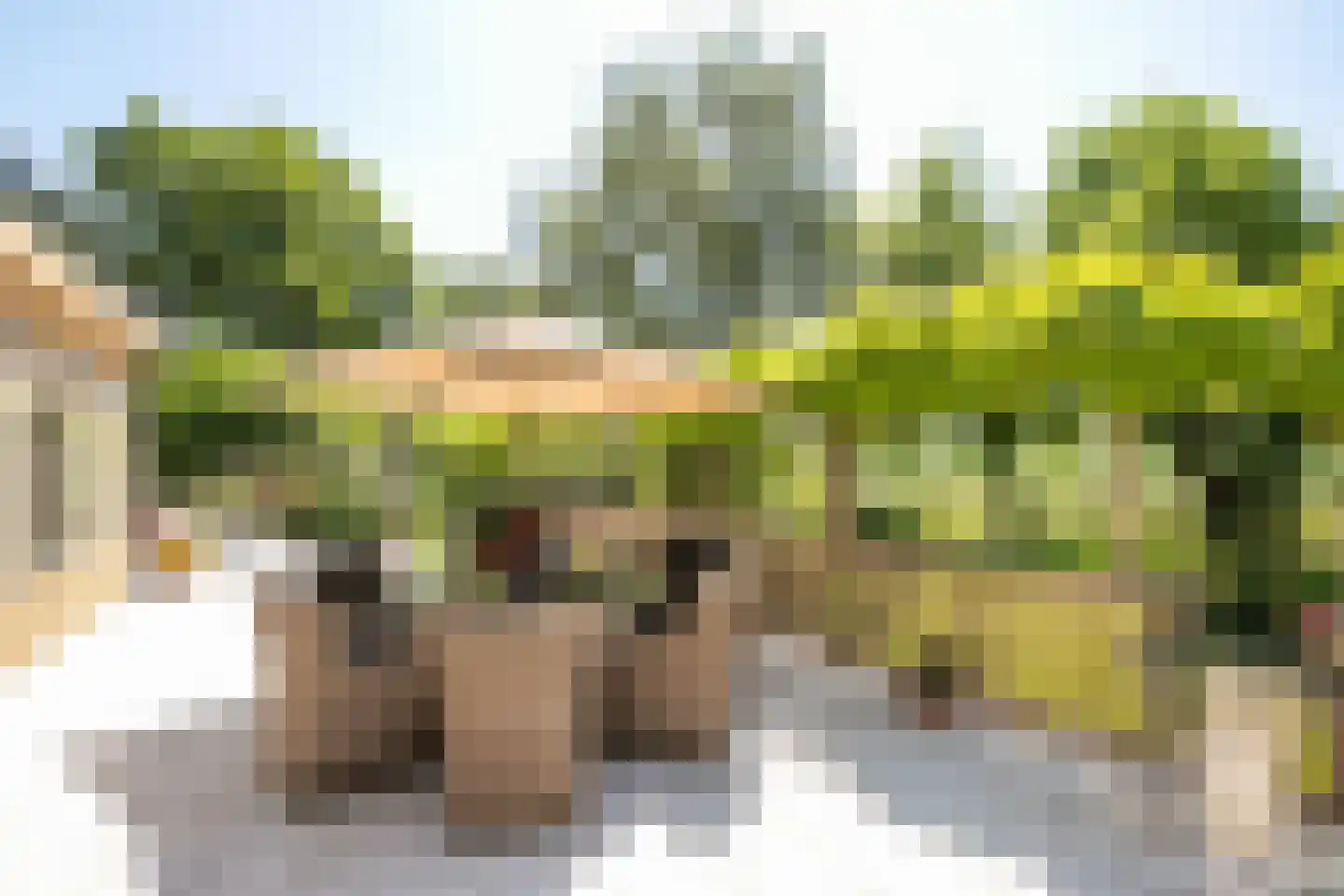 Schapengorsedijk 25 Rockanje thumbnail 54