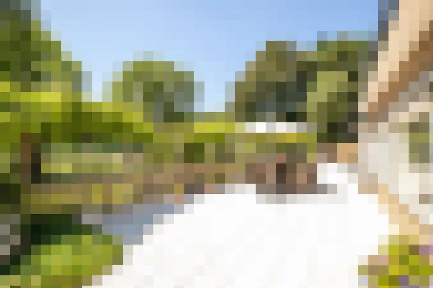 Schapengorsedijk 25 Rockanje thumbnail 55