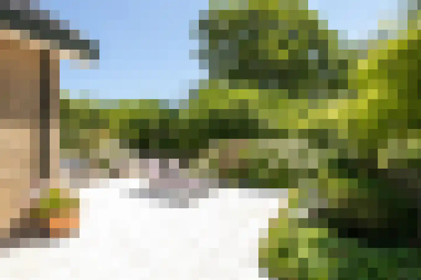 Schapengorsedijk 25 Rockanje thumbnail 56