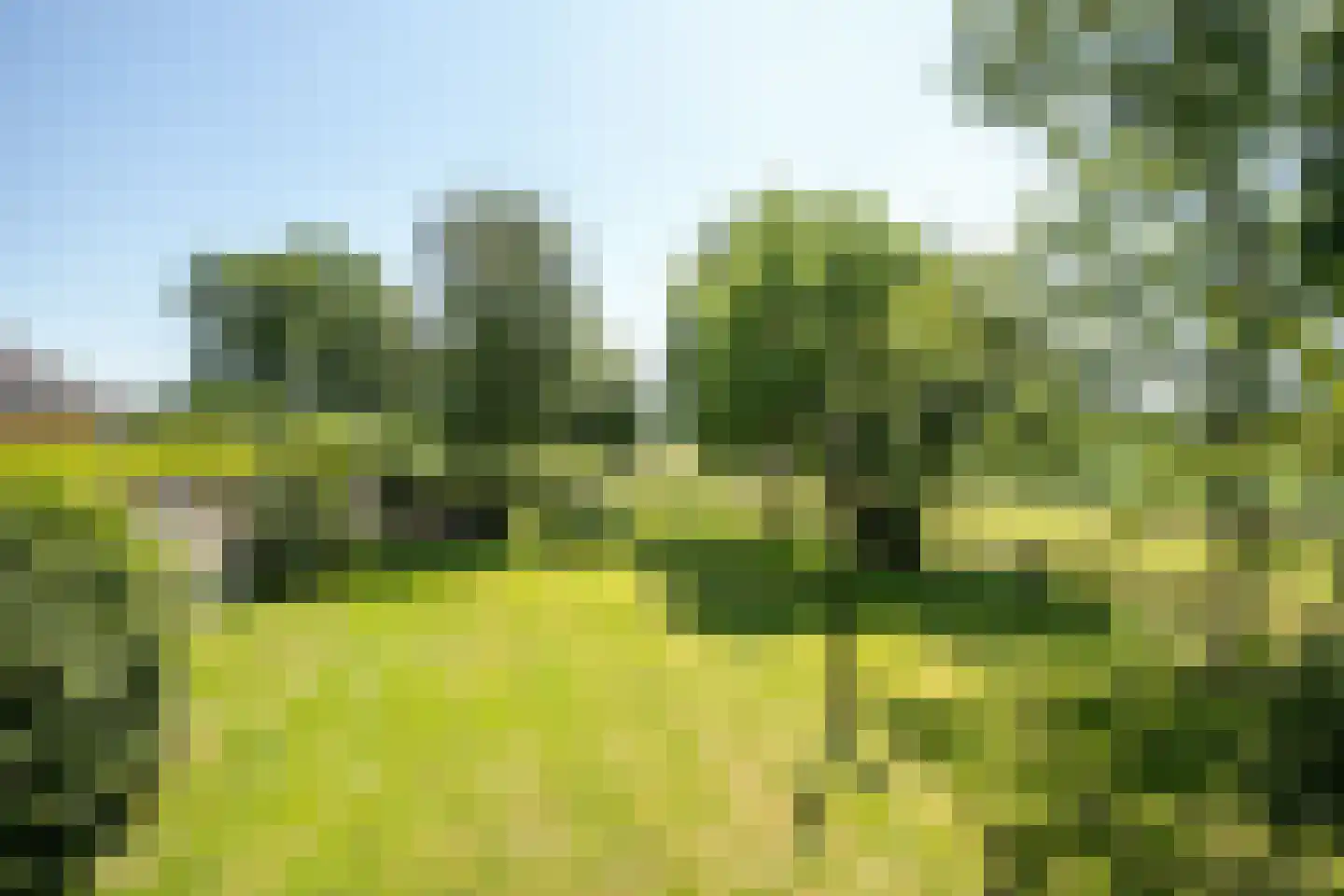 Schapengorsedijk 25 Rockanje thumbnail 59