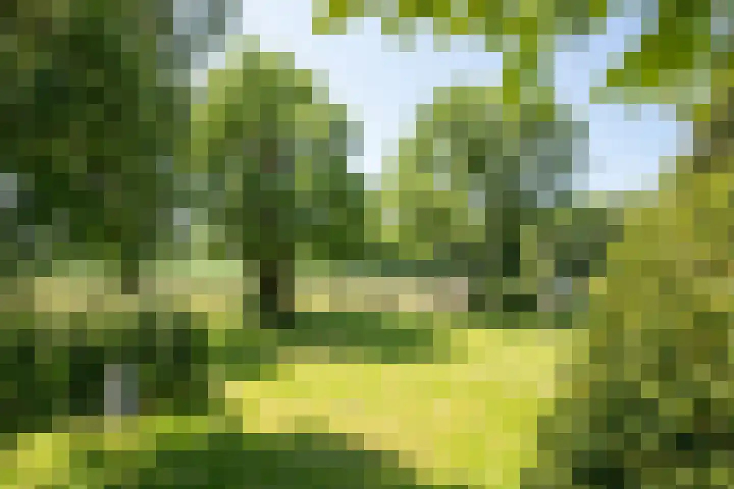 Schapengorsedijk 25 Rockanje thumbnail 6