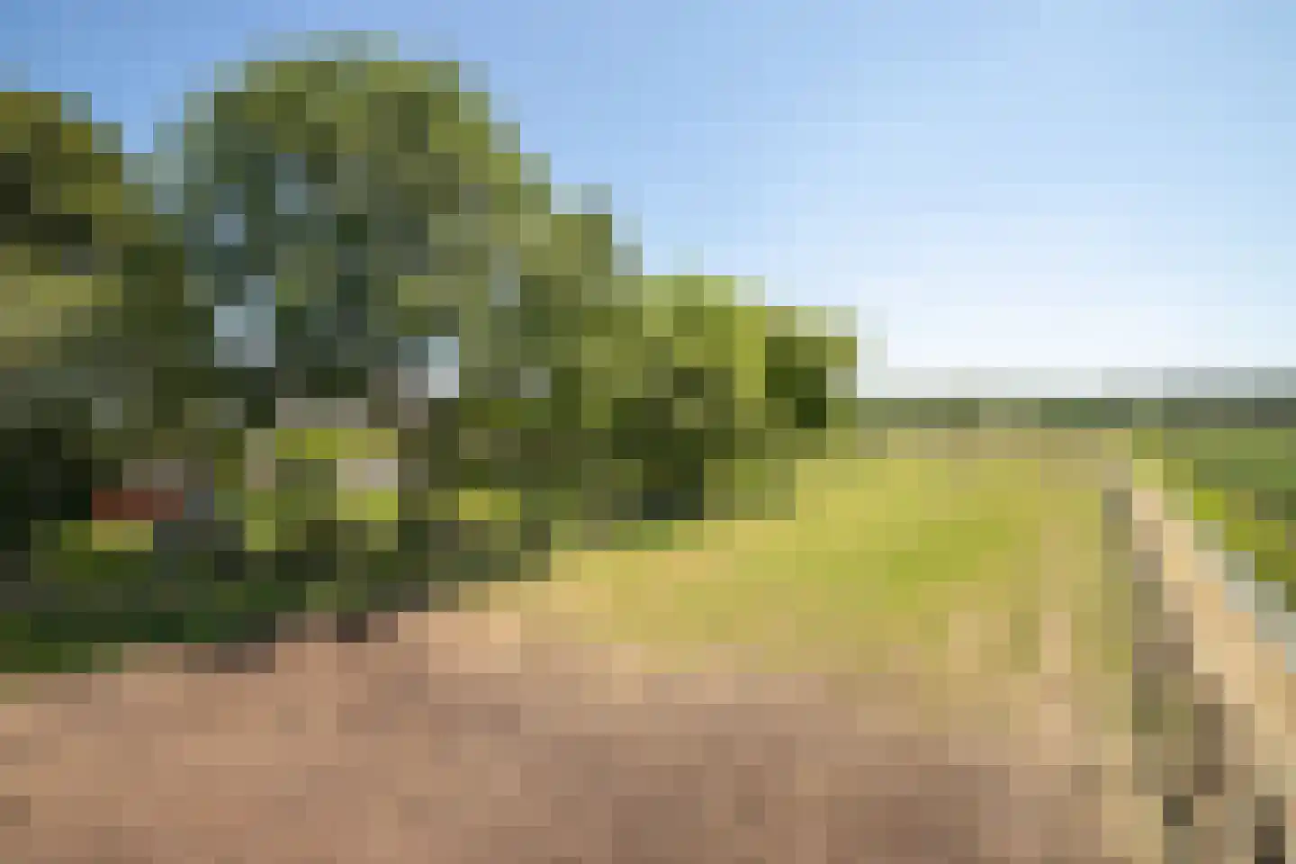 Schapengorsedijk 25 Rockanje thumbnail 60