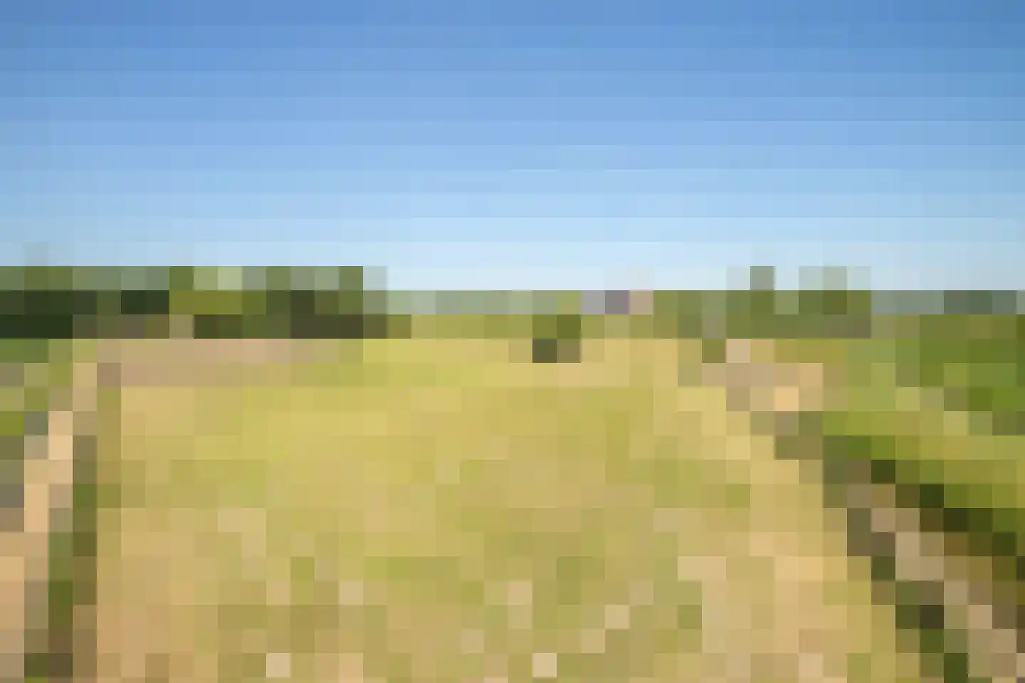 Schapengorsedijk 25 Rockanje thumbnail 61