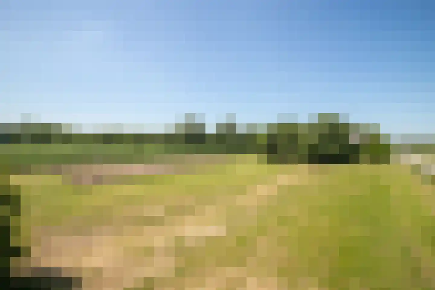 Schapengorsedijk 25 Rockanje thumbnail 62