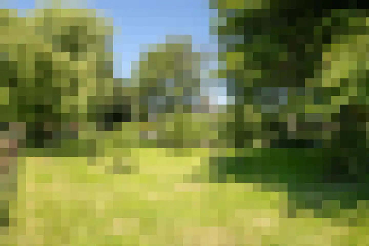 Schapengorsedijk 25 Rockanje thumbnail 63