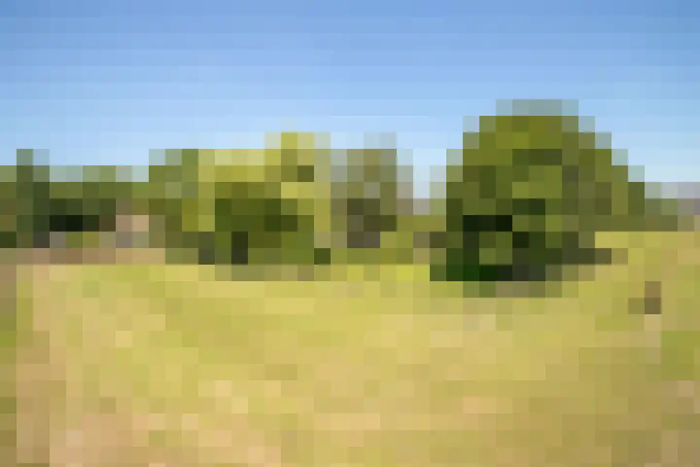 Schapengorsedijk 25 Rockanje thumbnail 64