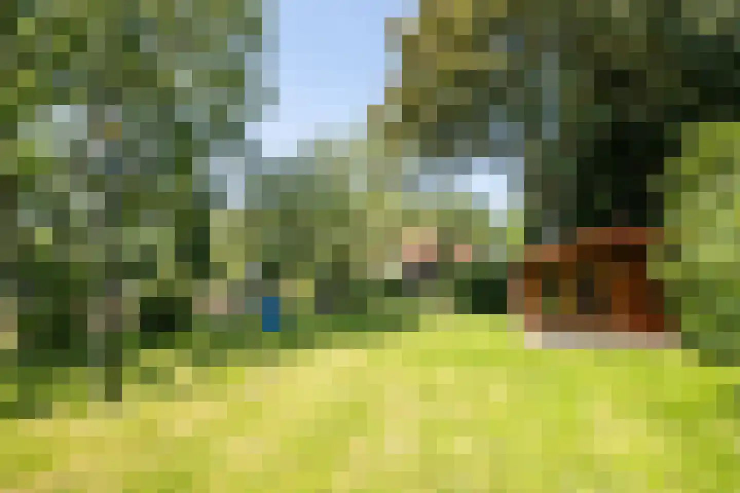 Schapengorsedijk 25 Rockanje thumbnail 65