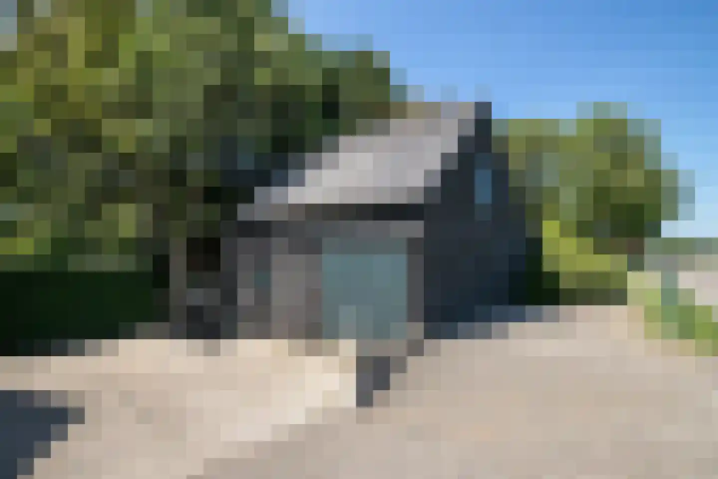 Schapengorsedijk 25 Rockanje thumbnail 66
