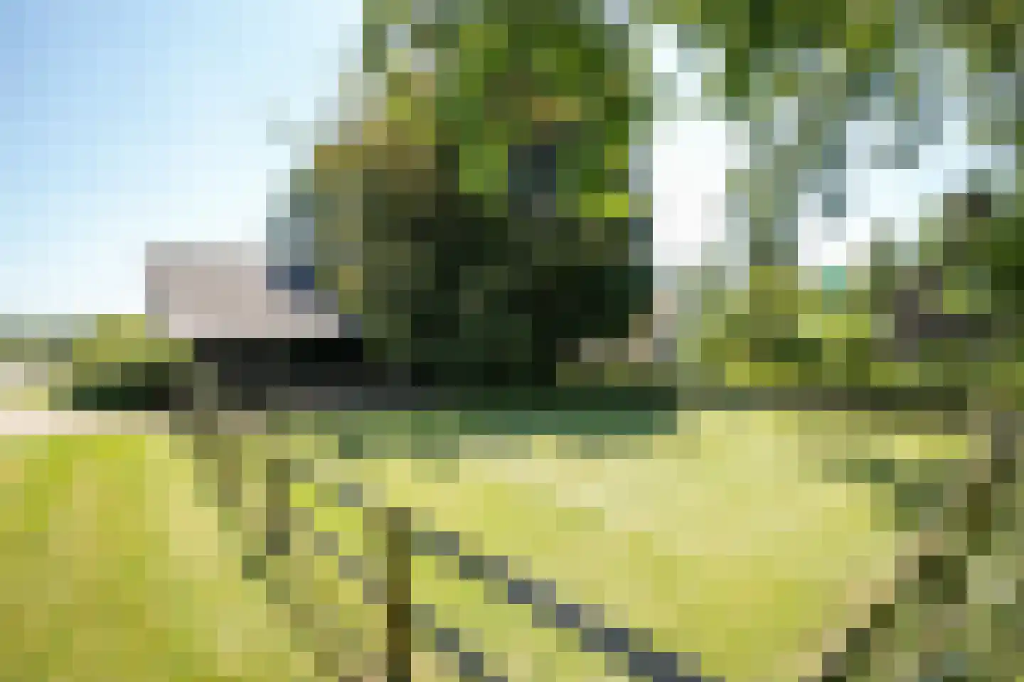 Schapengorsedijk 25 Rockanje thumbnail 69