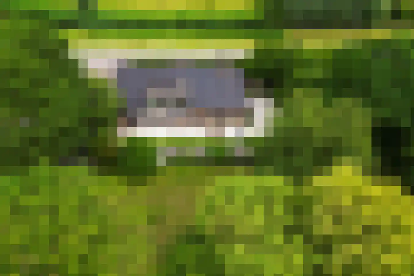 Schapengorsedijk 25 Rockanje thumbnail 70