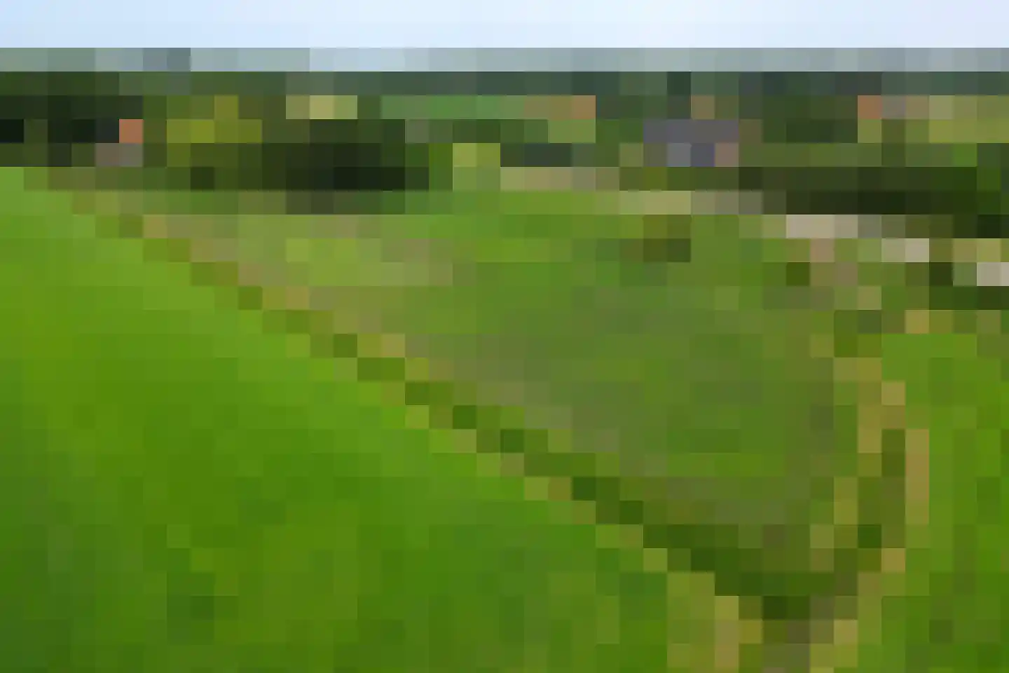 Schapengorsedijk 25 Rockanje thumbnail 72