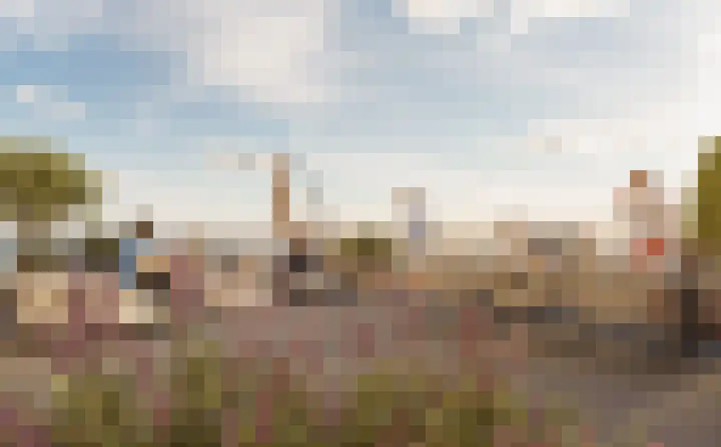 Schapengras 100 Pijnacker thumbnail 5