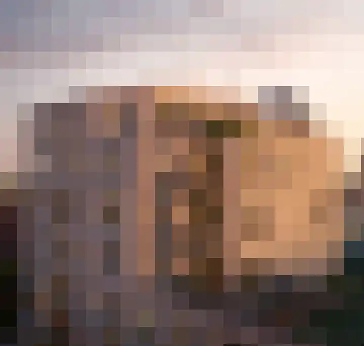 Schapengras 100 Pijnacker thumbnail 7