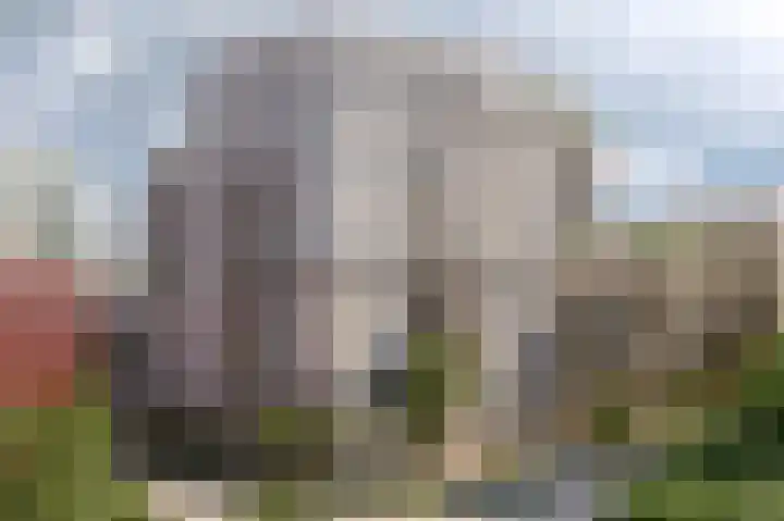 Schapengras 100 Pijnacker thumbnail 8