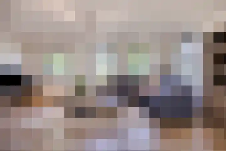 Schapenhei 4 Best thumbnail 11