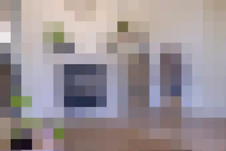 Schapenhei 4 Best thumbnail 12