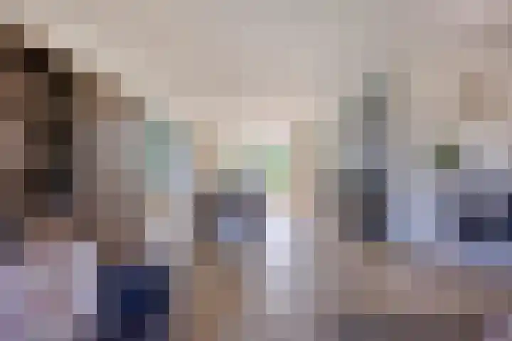 Schapenhei 4 Best thumbnail 14