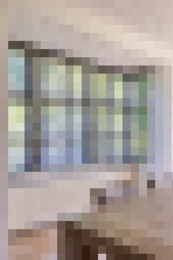 Schapenhei 4 Best thumbnail 16