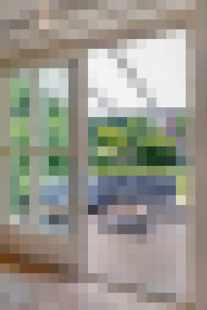 Schapenhei 4 Best thumbnail 17