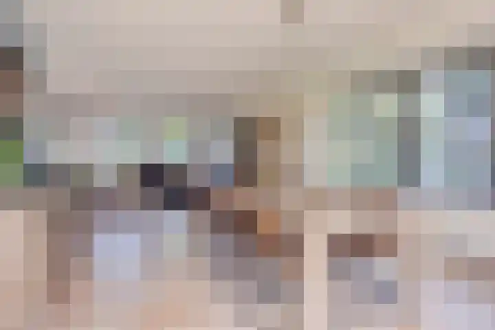 Schapenhei 4 Best thumbnail 18