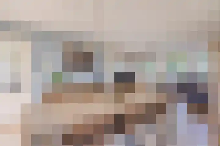 Schapenhei 4 Best thumbnail 19