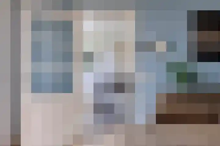 Schapenhei 4 Best thumbnail 20