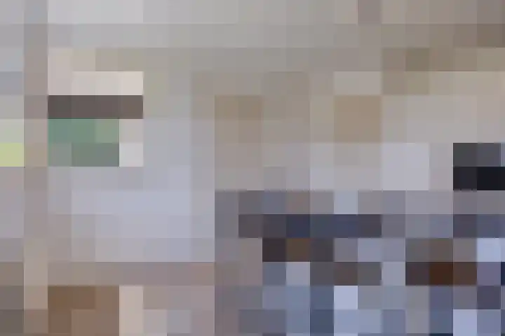 Schapenhei 4 Best thumbnail 21