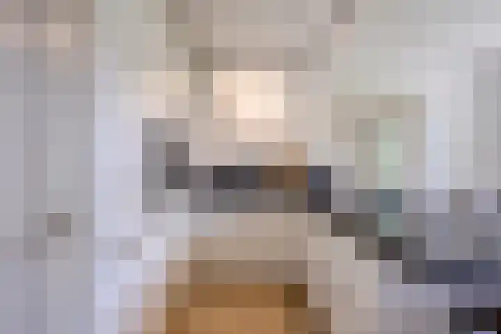 Schapenhei 4 Best thumbnail 23