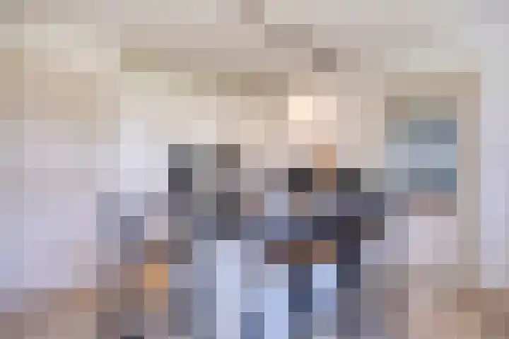 Schapenhei 4 Best thumbnail 24