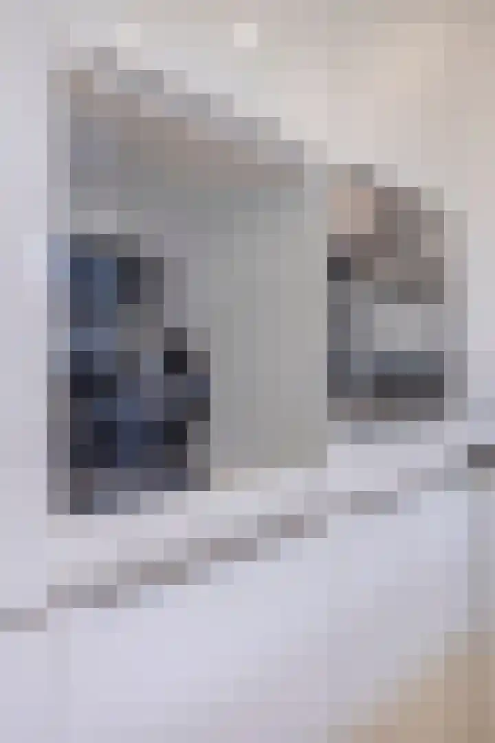 Schapenhei 4 Best thumbnail 26