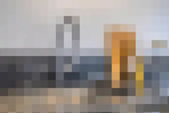 Schapenhei 4 Best thumbnail 28