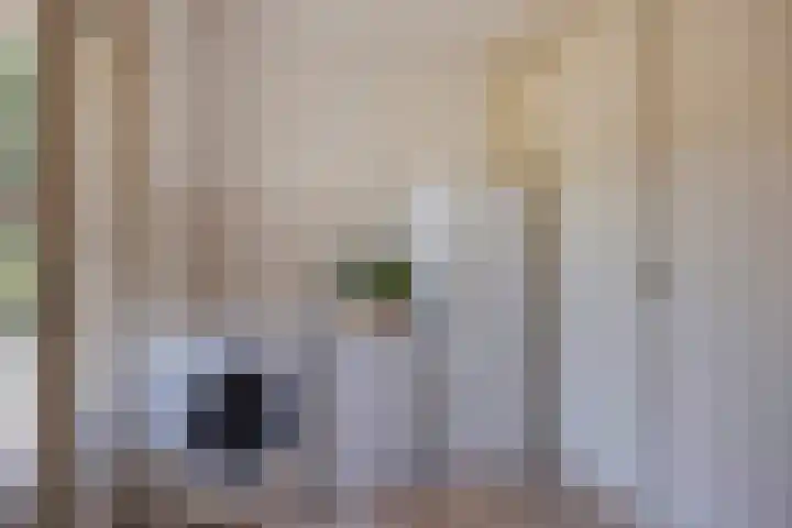 Schapenhei 4 Best thumbnail 29